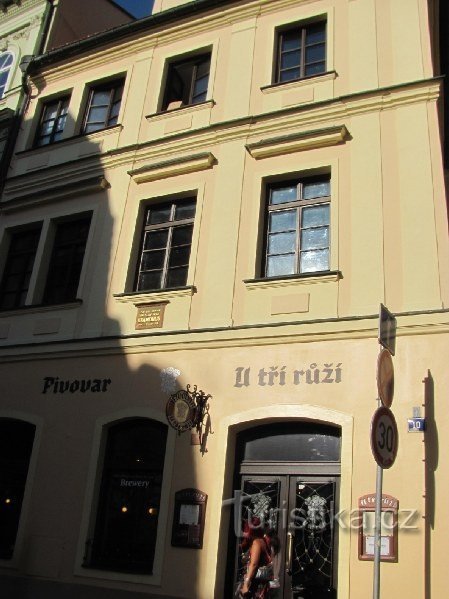 Prague, Staré Město - Maison U Tří streebrných rúzi