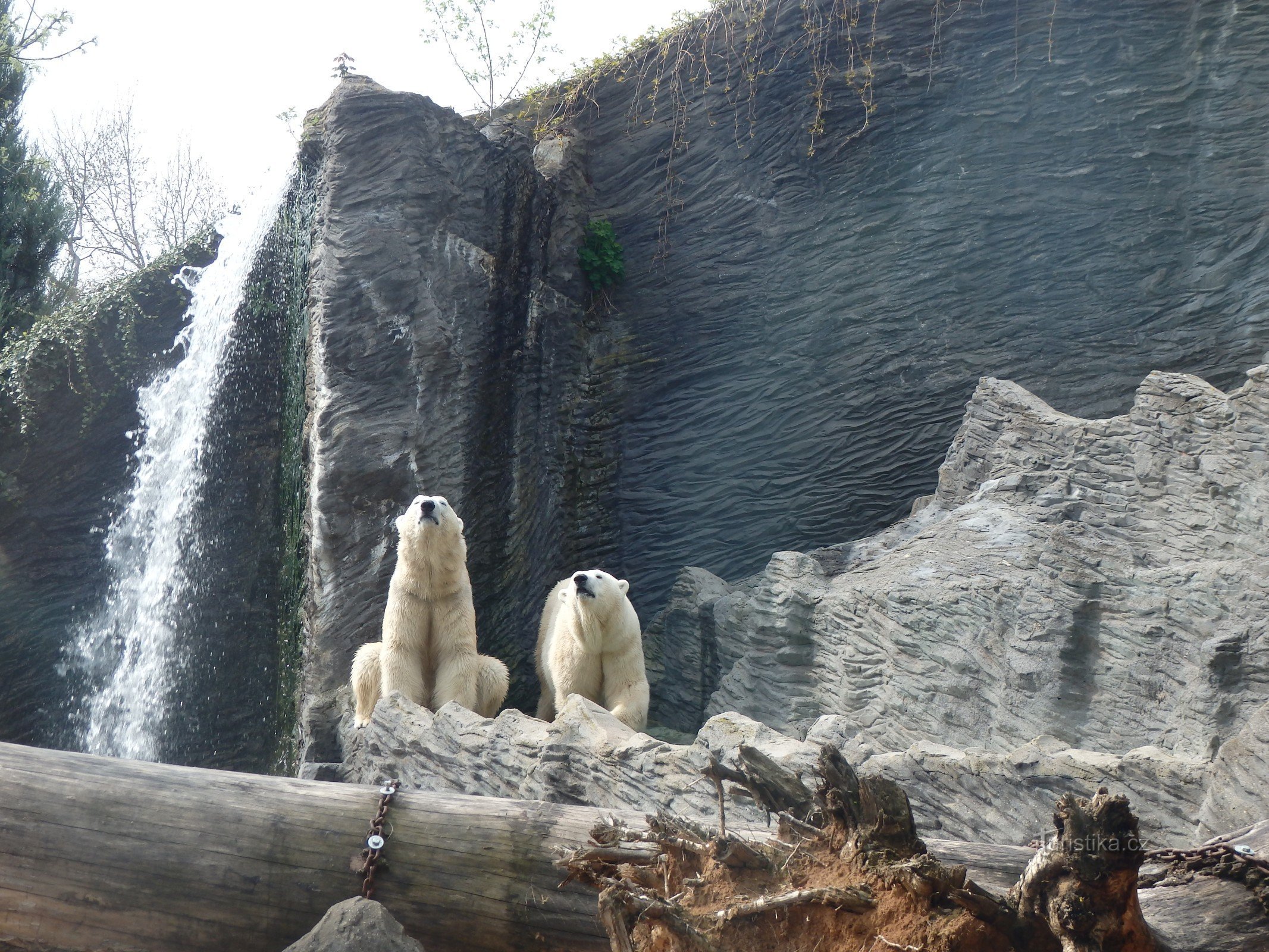 プラハ動物園