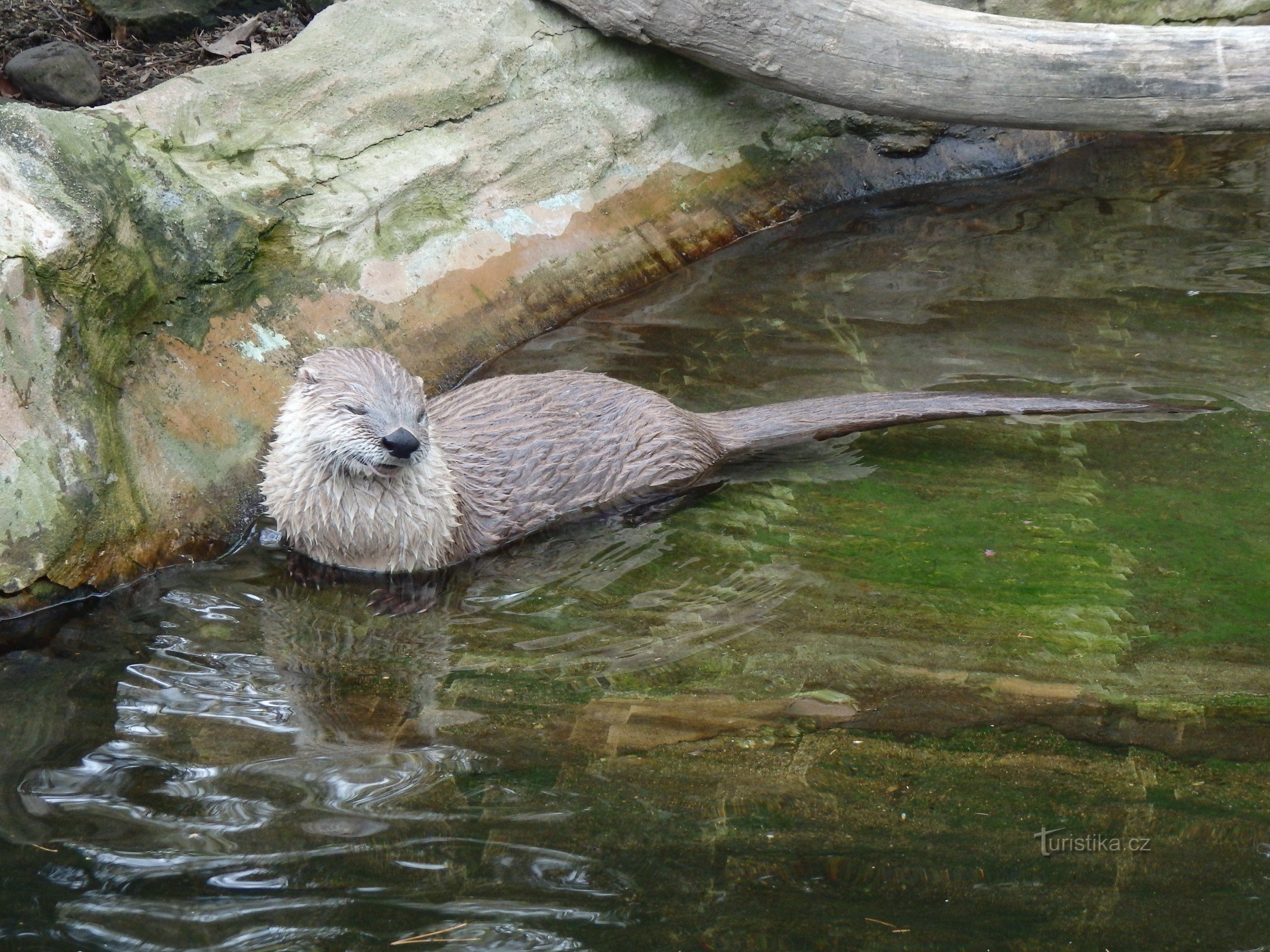 ZOO de Prague