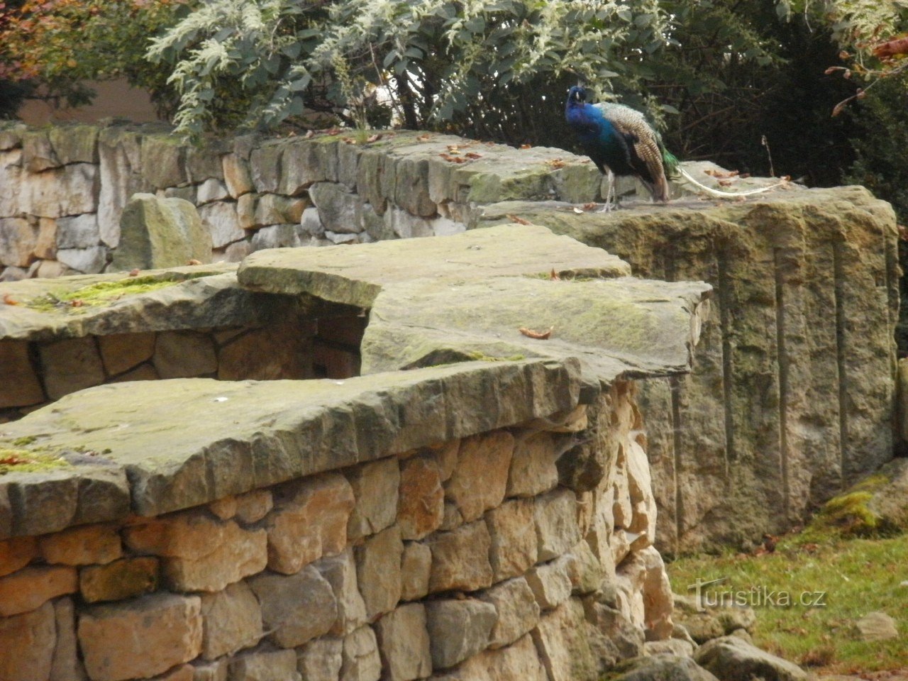 Praga, Grădina Zoologică Troja