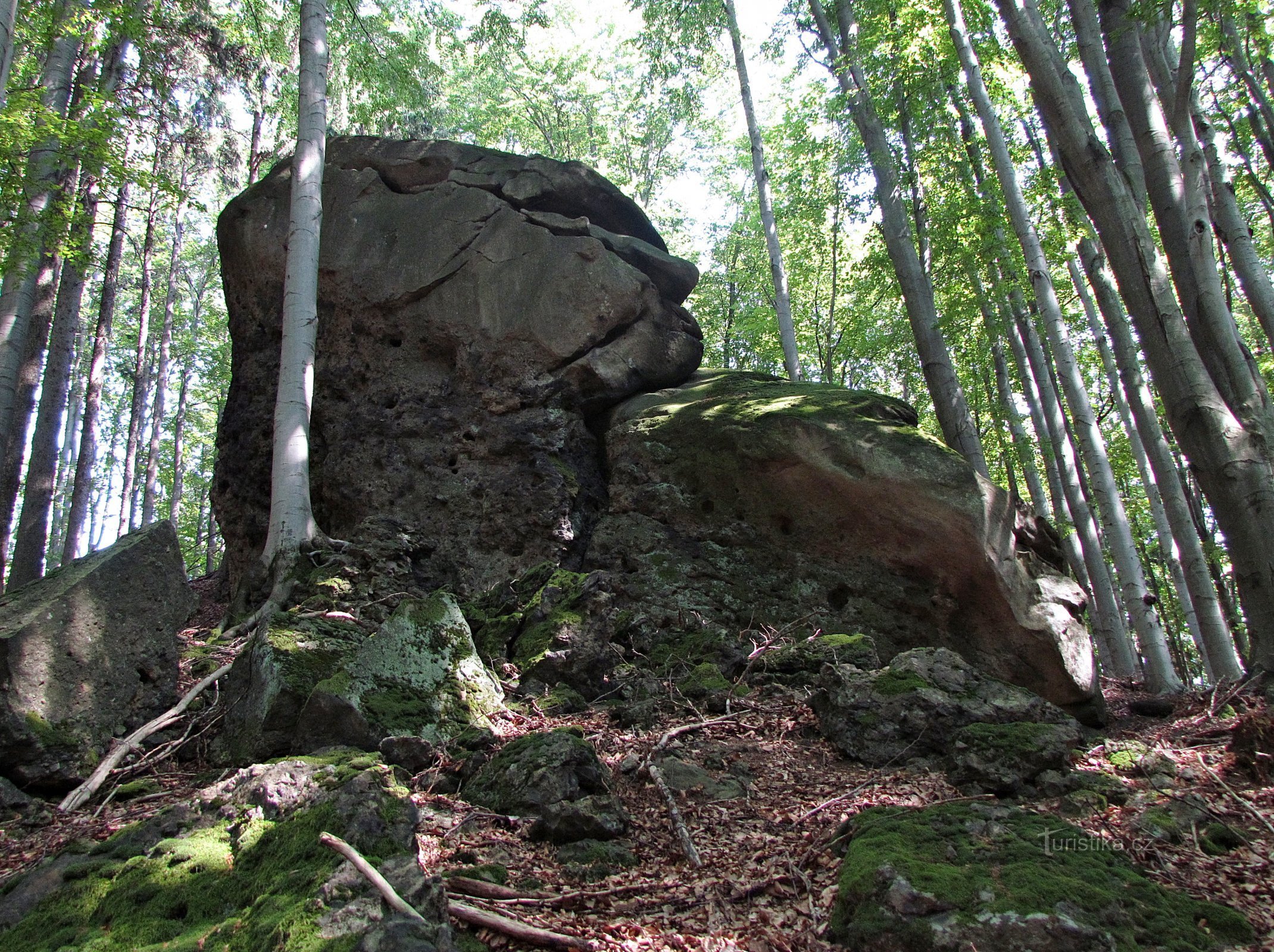 Het bos onder Čerňava