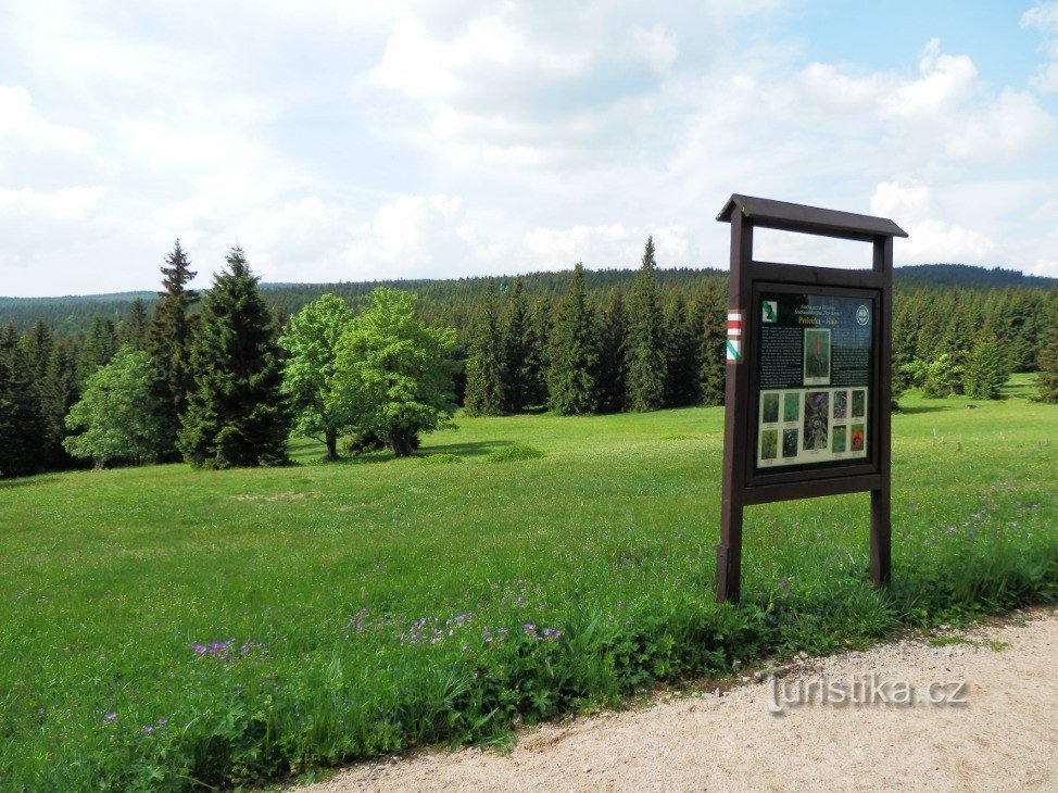 Ancienne prairie avec un panneau d'information