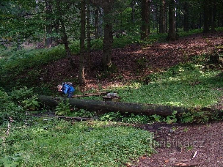 La source de Beneška