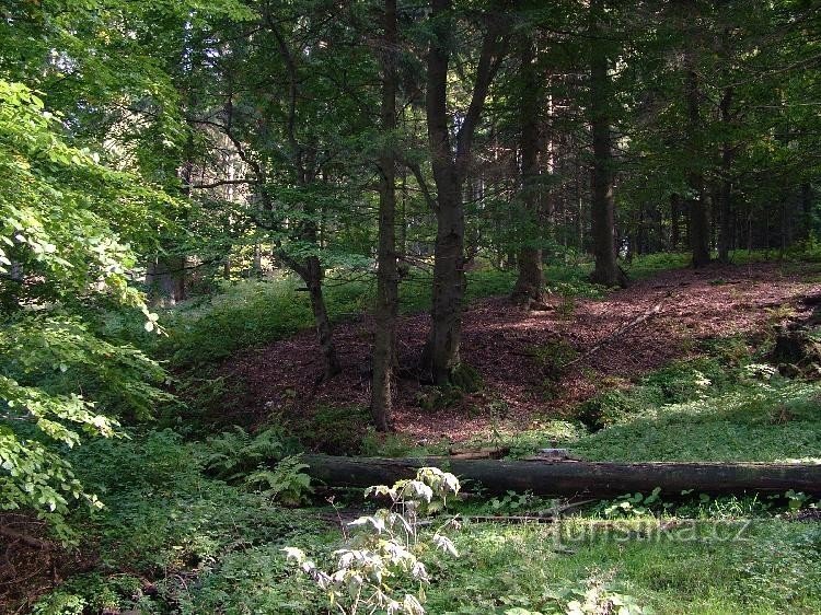 The spring of Beneška