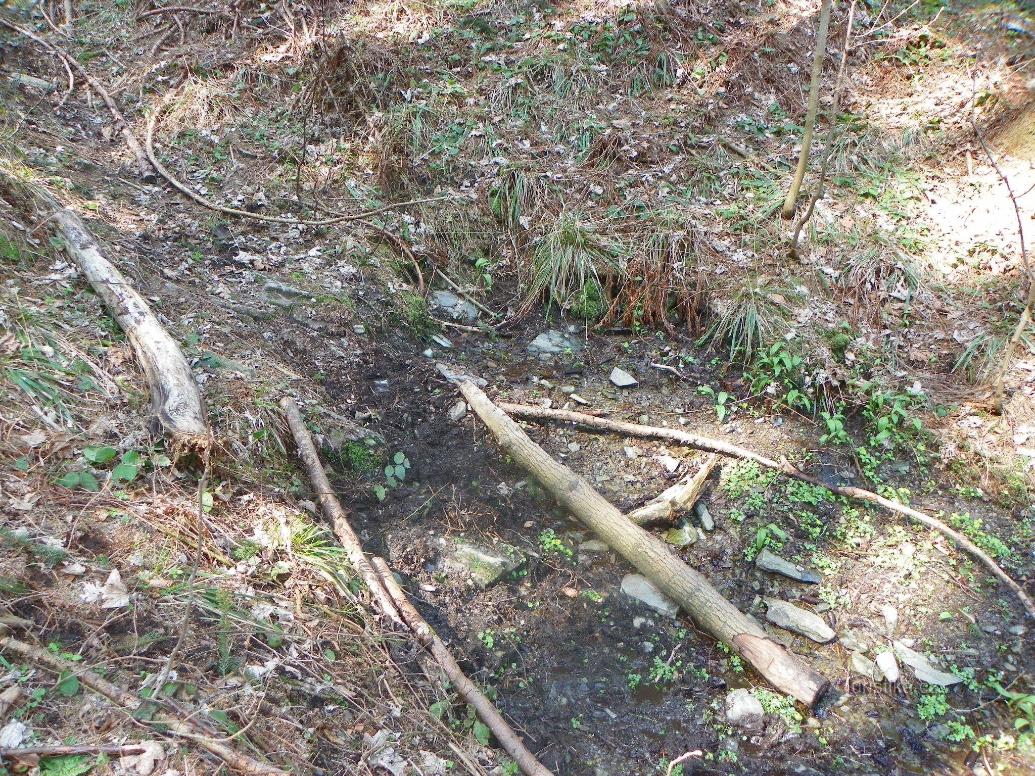 A nascente do ribeiro de Černé