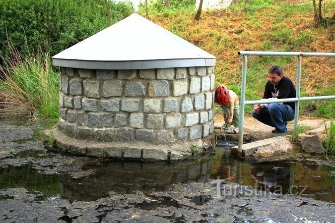 La fuente de Heliga