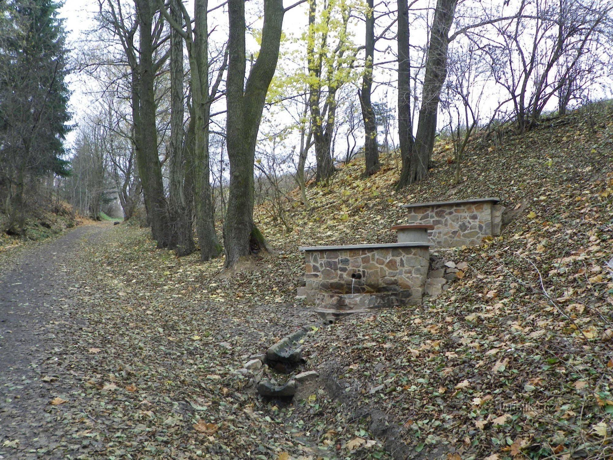 La sorgente Klafar nell'argine