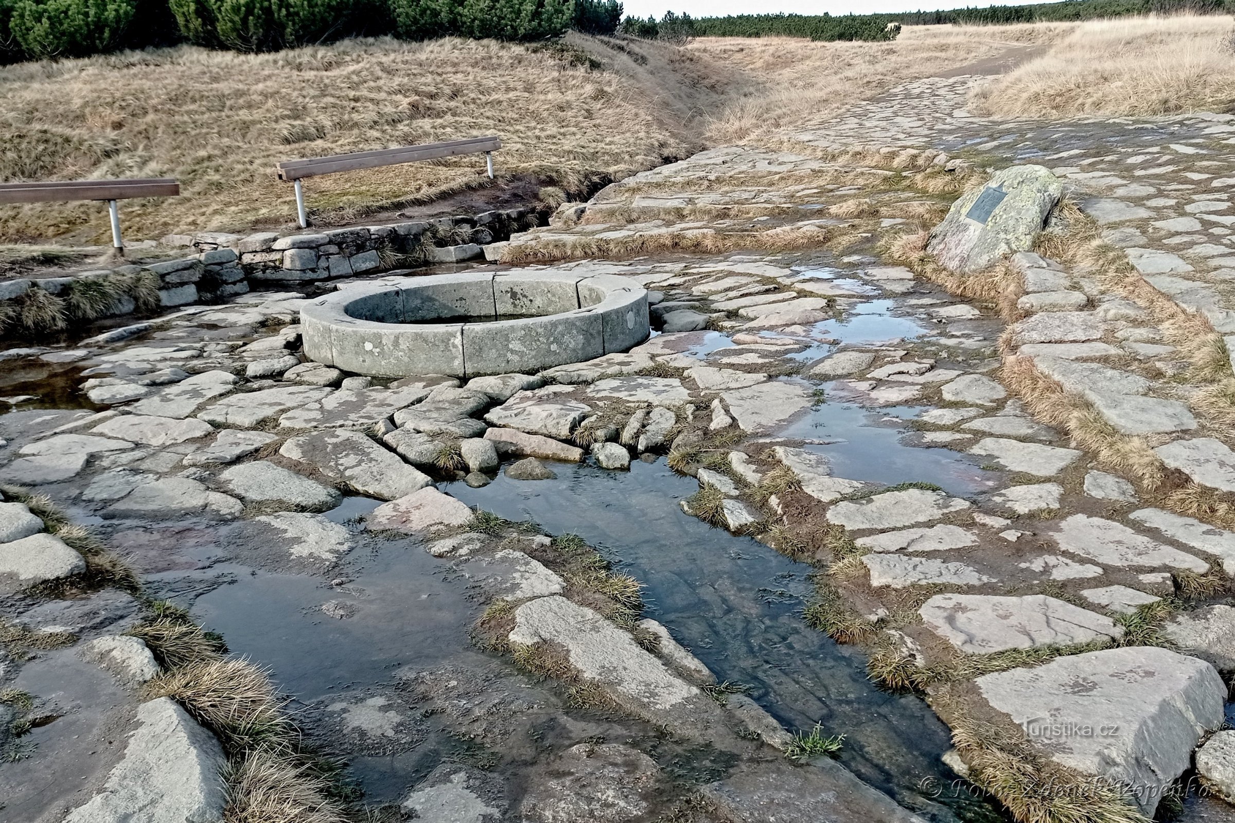 A fonte do Elba.