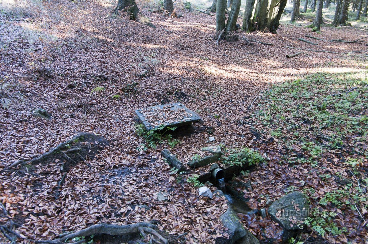 The source of the Lipkovské brook