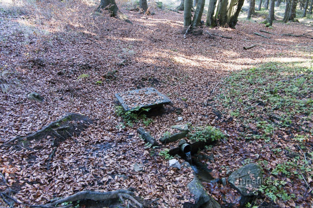 Die Quelle des Lipkovské-Bachs