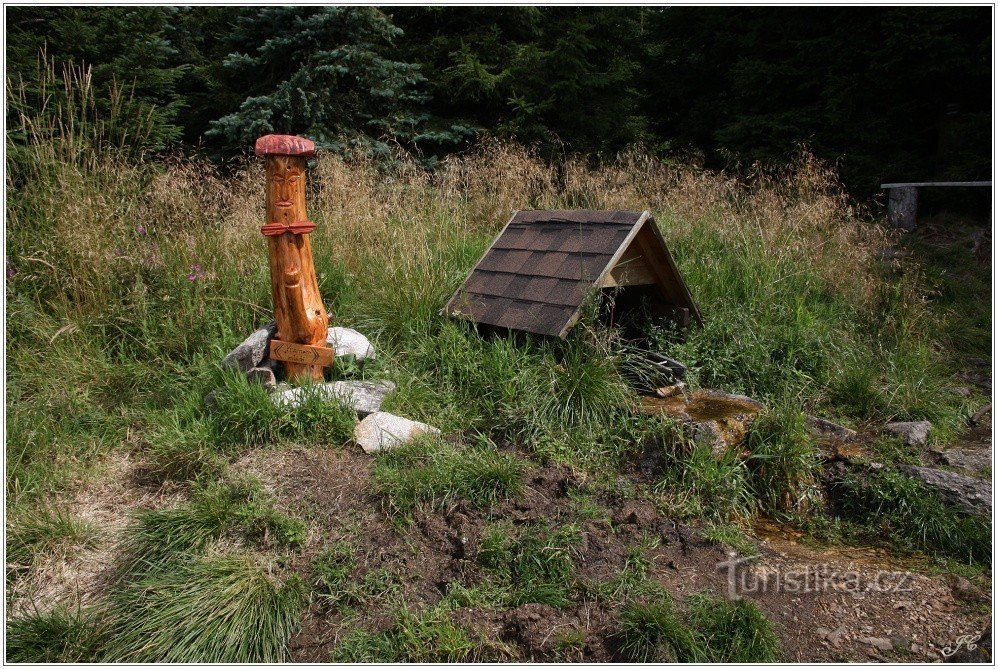 The fountain of youth under the Spruce