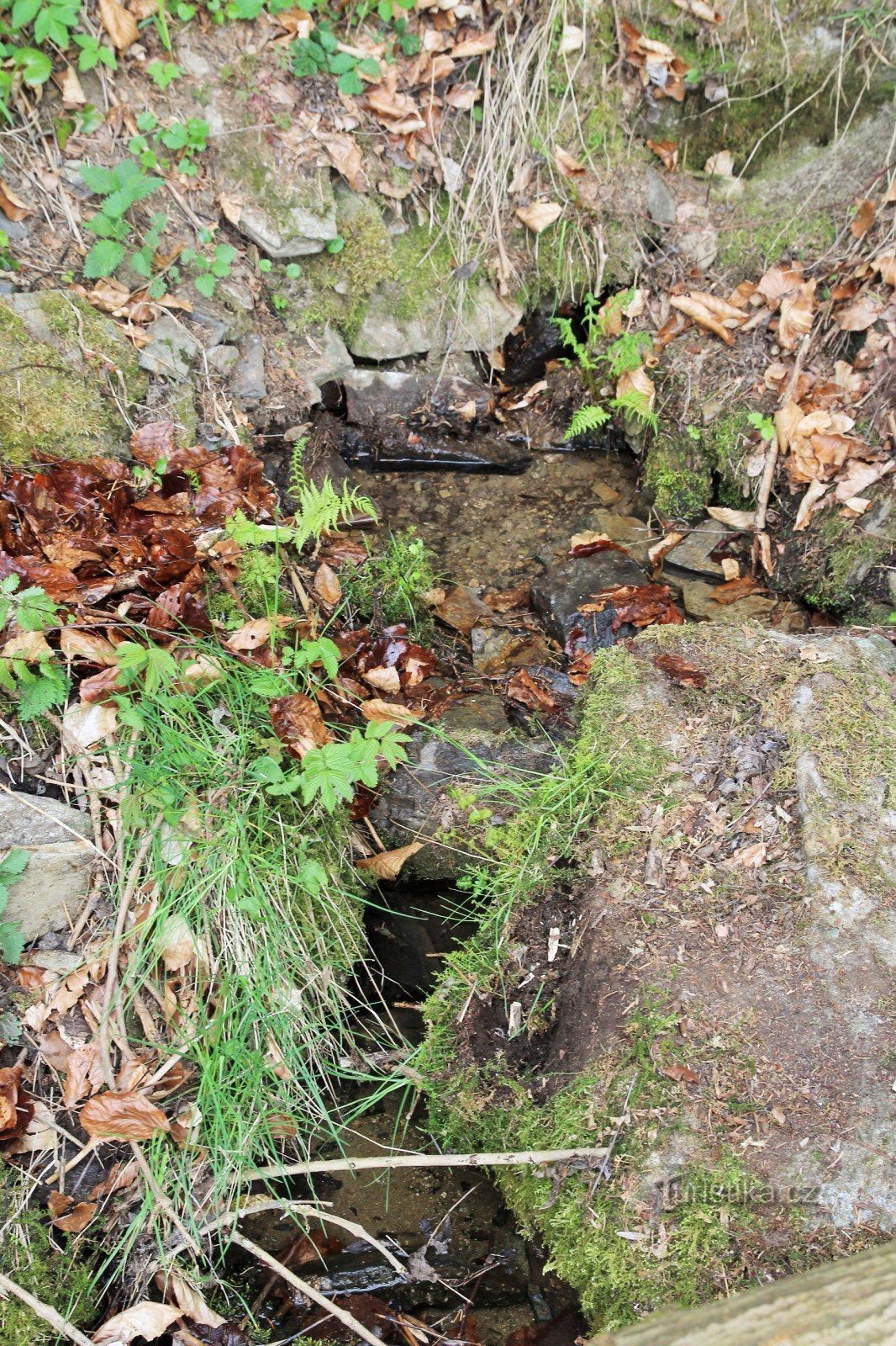 Μια πηγή πόσιμου νερού κάτω από το τούνελ
