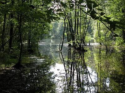 Spring Ploučnice