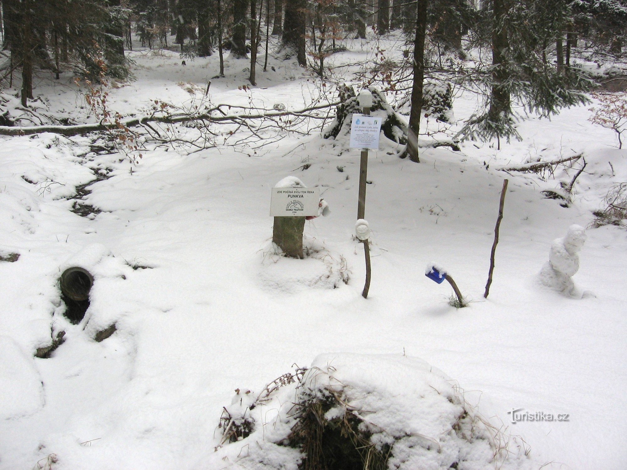 Printemps sous la neige (2)