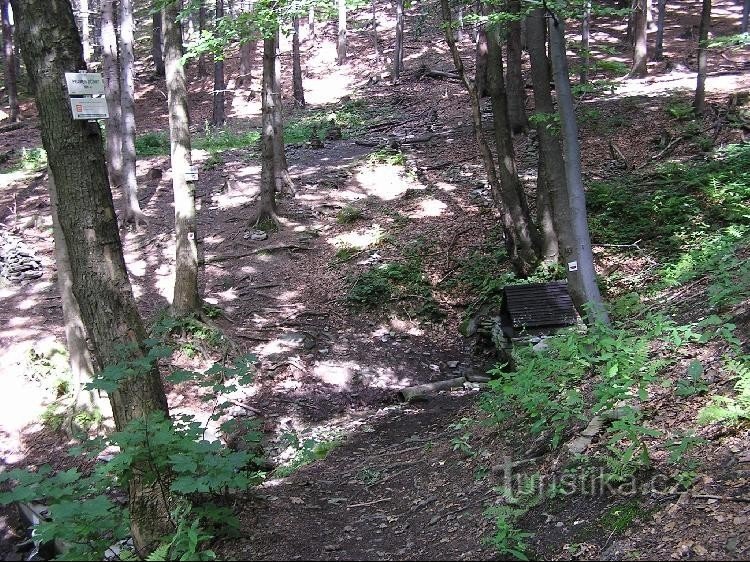 La source de la rivière Jičínka: La source de la rivière Jičínka