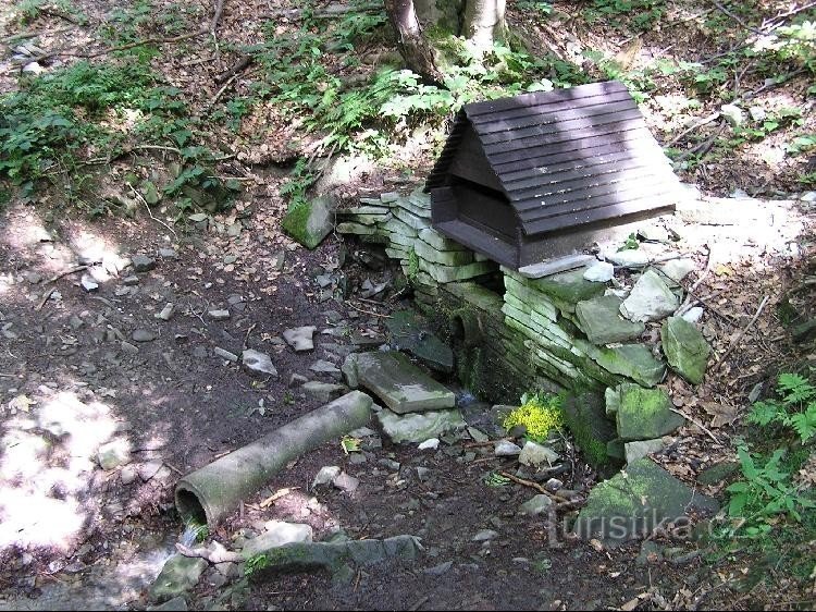 La source de la rivière Jičínka: La source de la rivière Jičínka