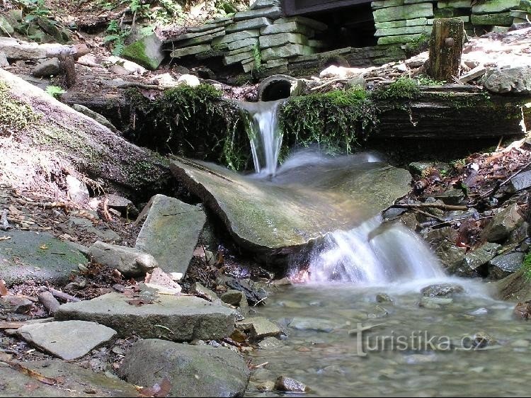 La source de la rivière Jičínky: La source de la rivière Jičínky - les premiers mètres