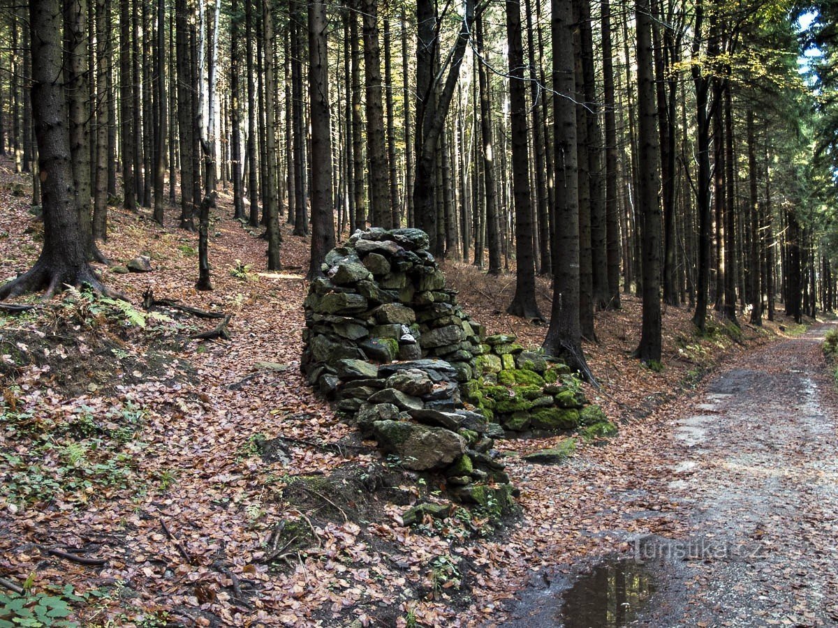 La source Šárka