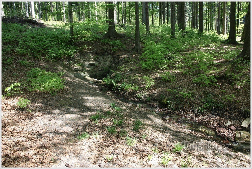 Vápenka spring