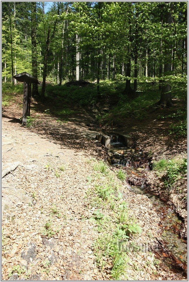 Vápenka spring