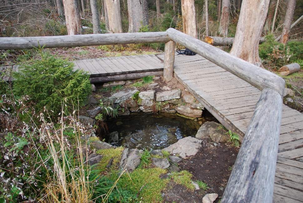 La primavera del fiume Moldava