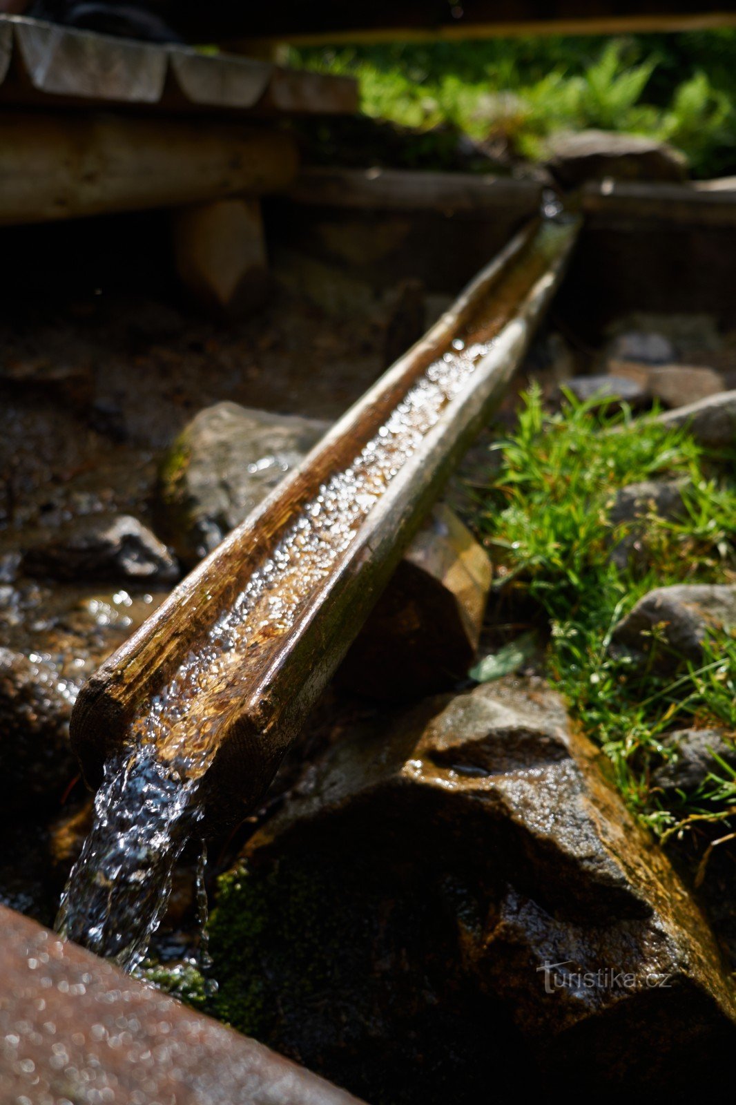 De lente van de rivier de Moldau