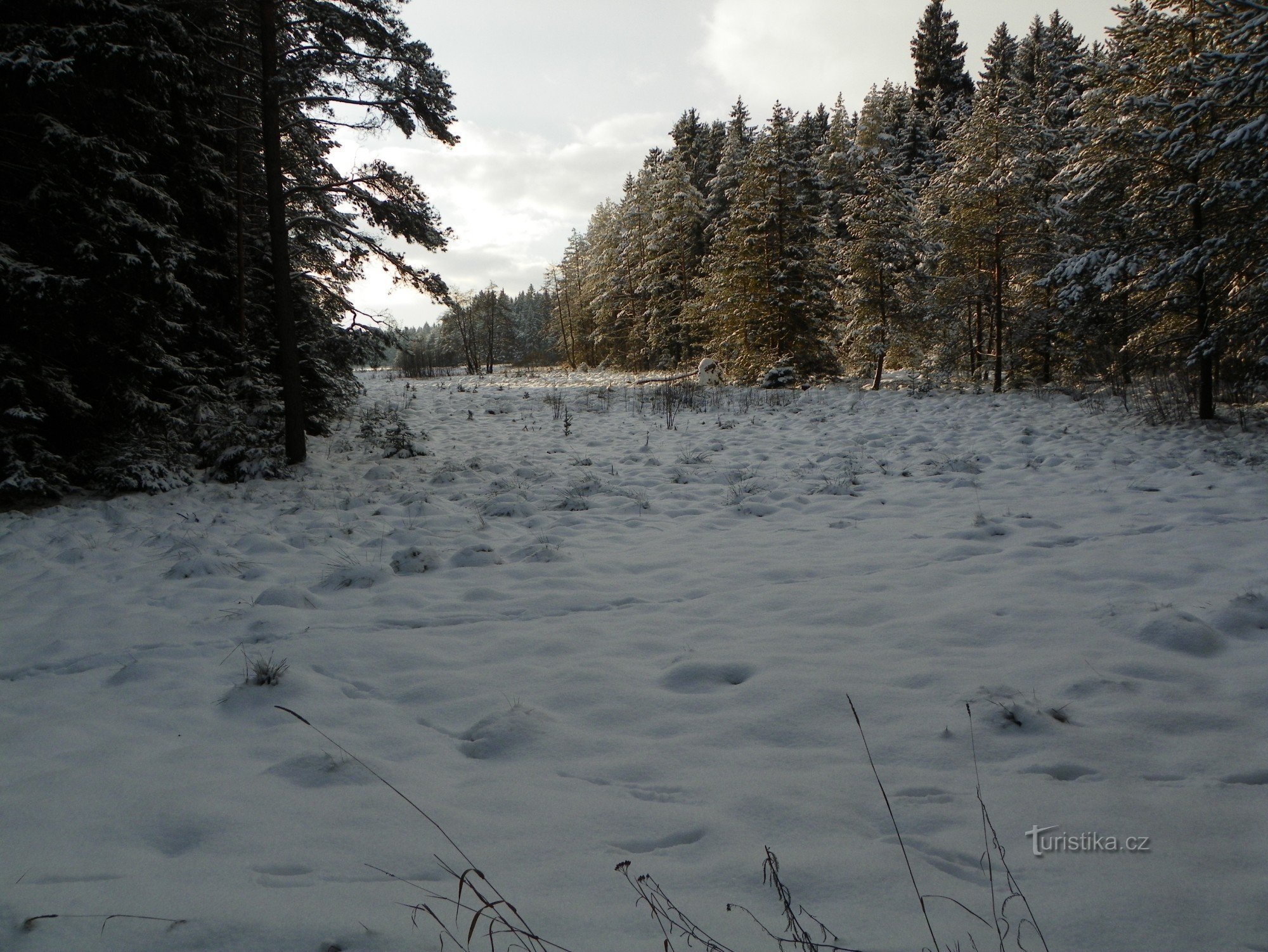 Prameniště  Oslavy