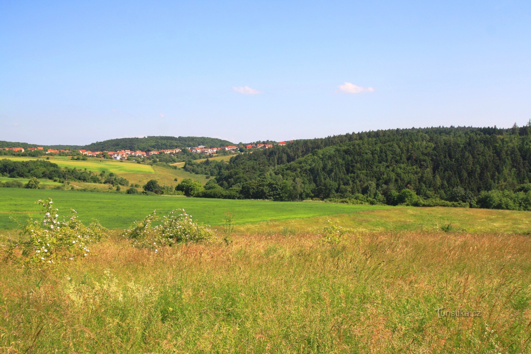 Kildeområdet for Časnýř-strømmen under landsbyen Ochoz nær Brno