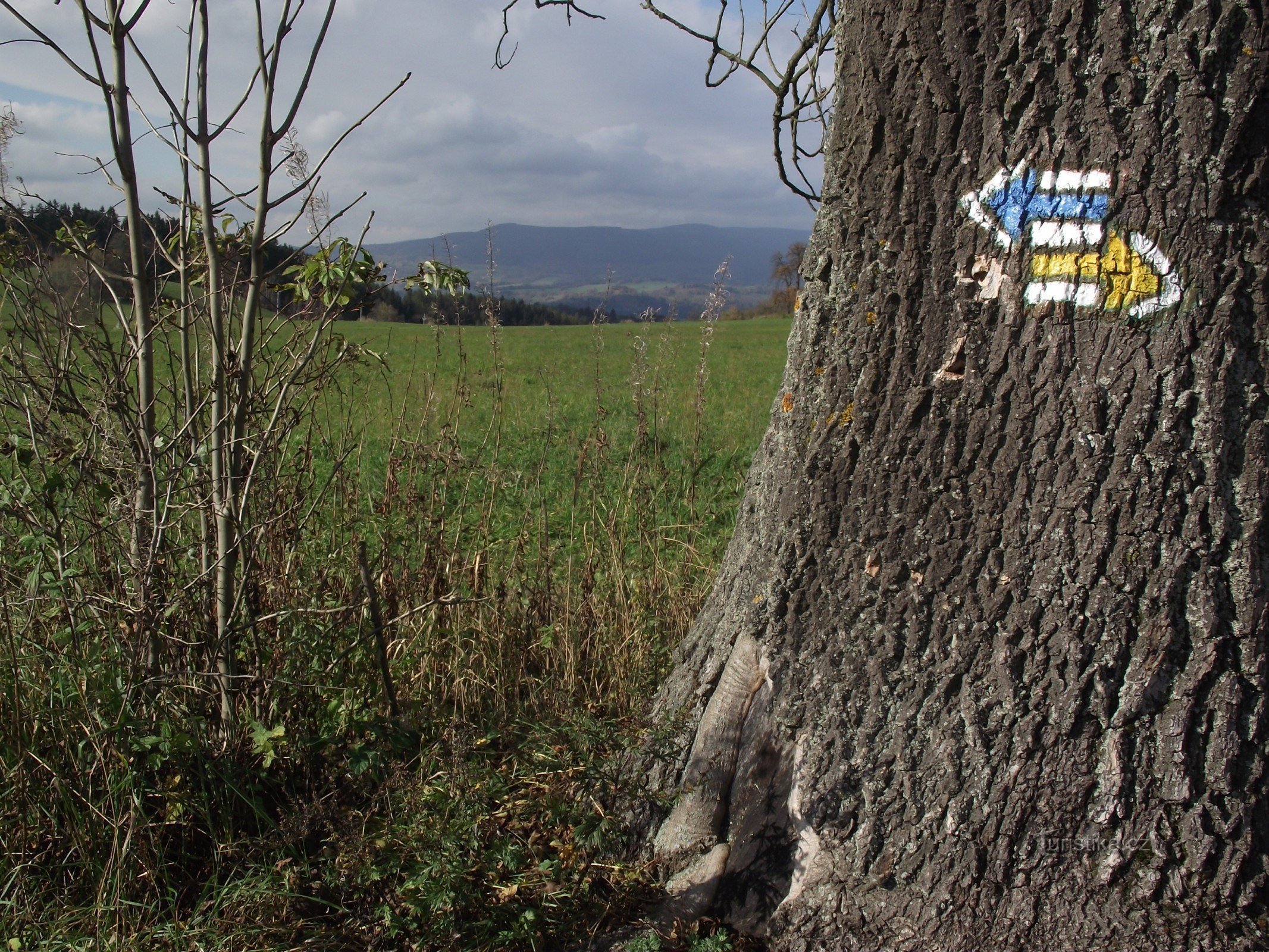 Springs (Štolnava, Stollenhau) – signpost