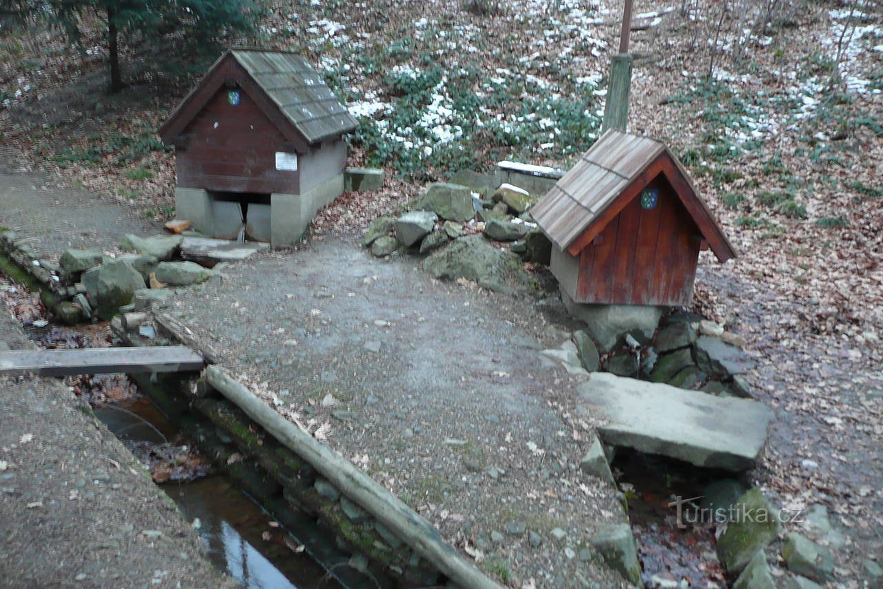 Springs of Zrzávka.