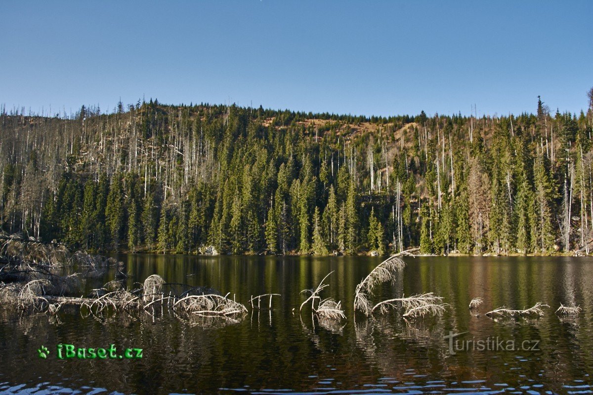 Prášilské jezero