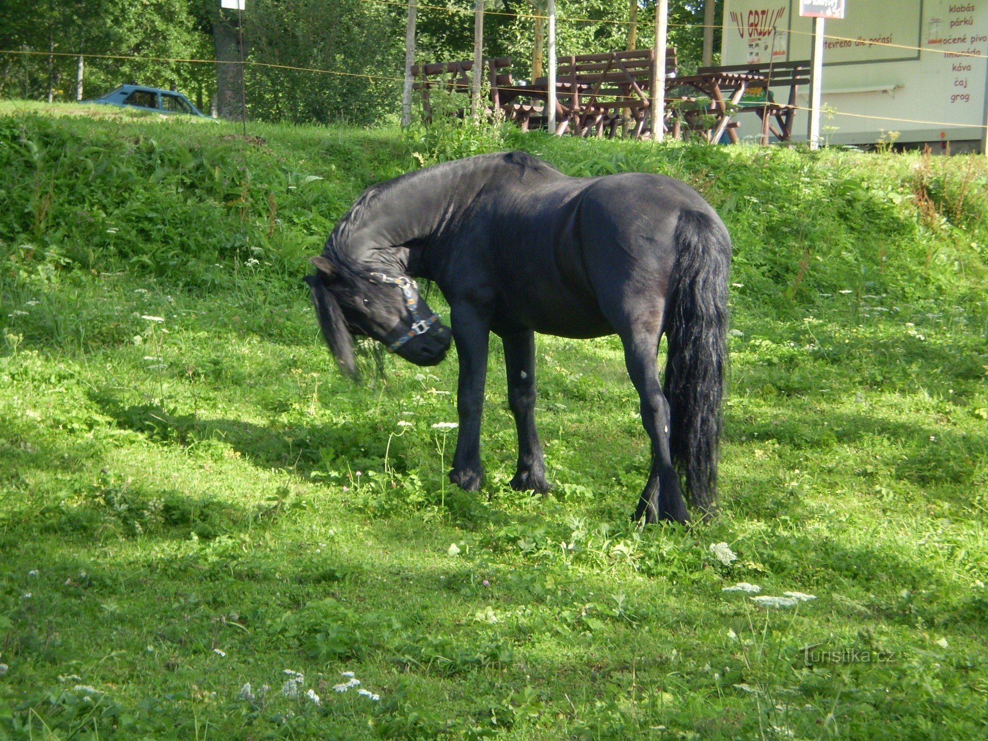 Прашилы