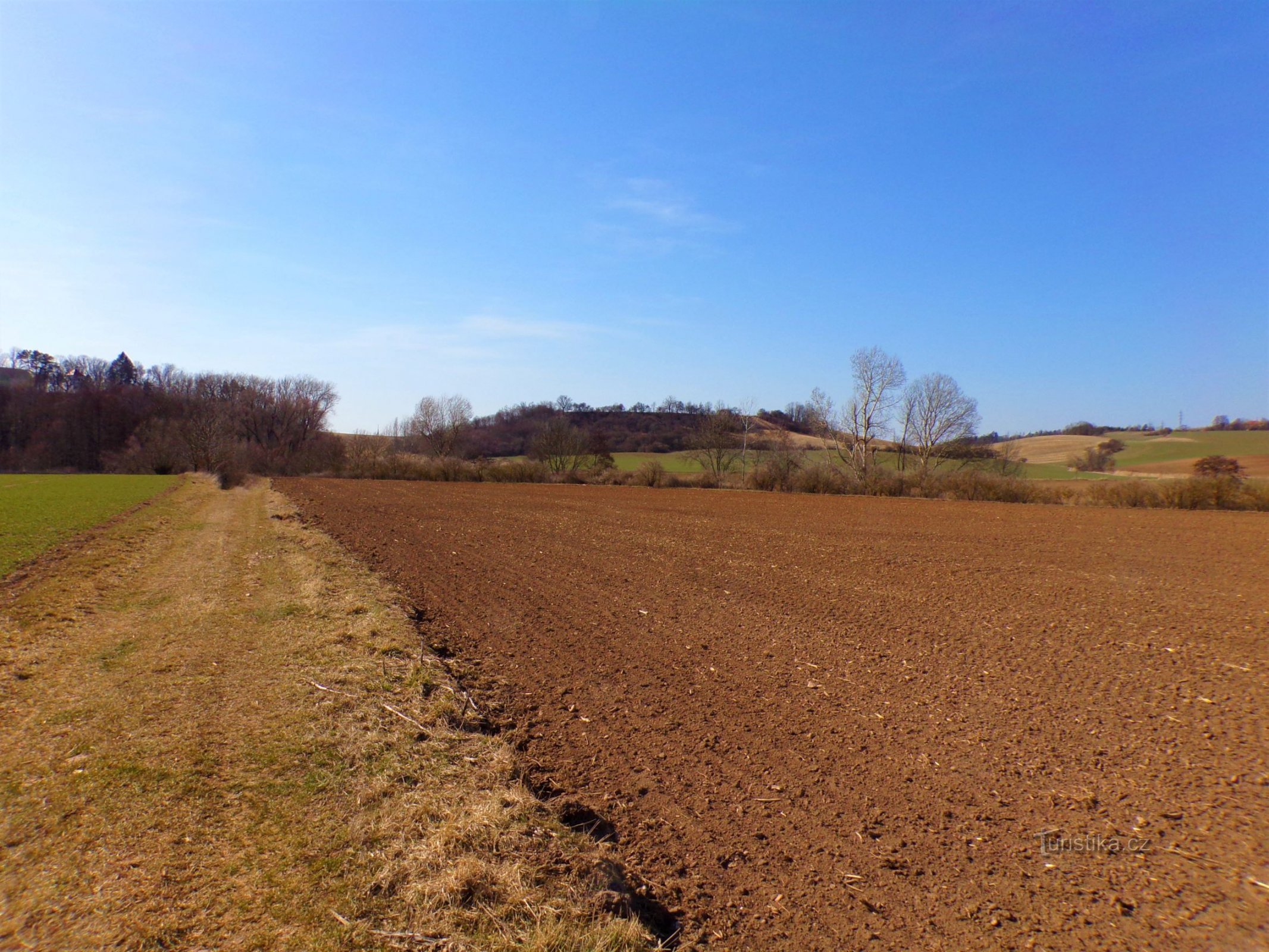 Prašivka (Habřina, 21.3.2022)