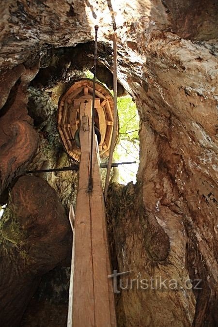 Praskoleska linden - campana de campana dentro del tronco
