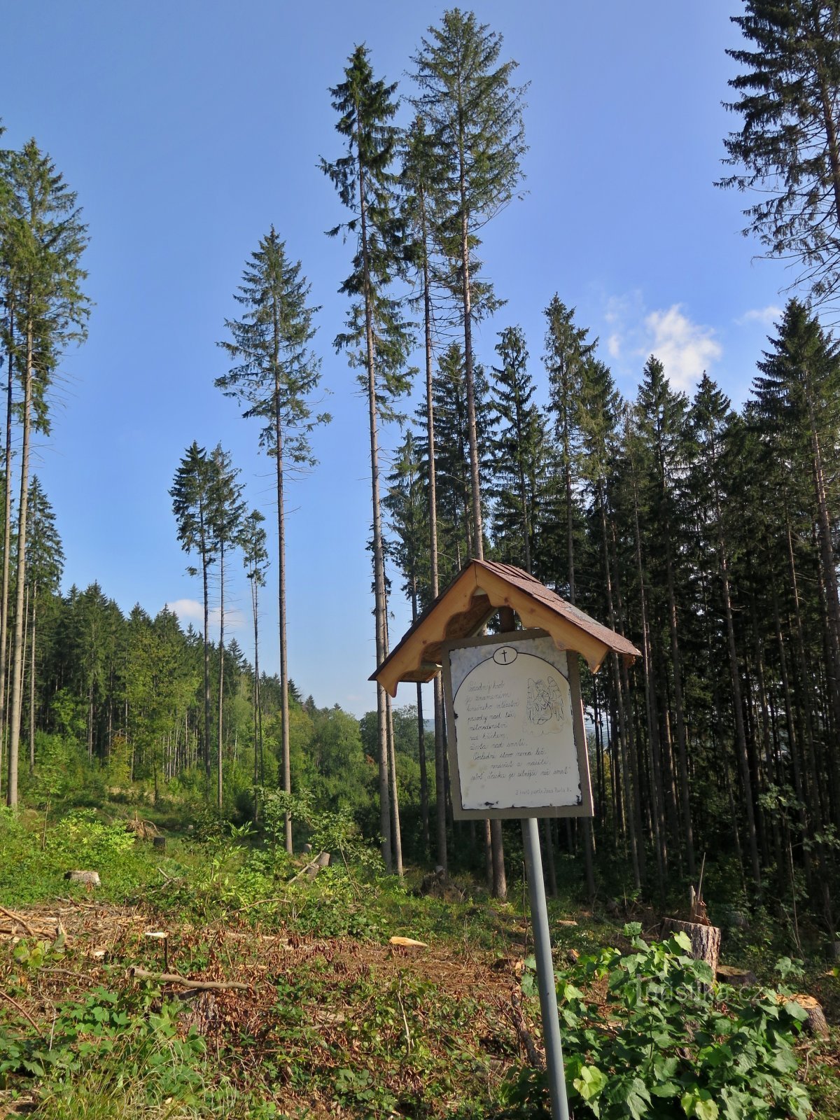 Порожня могила під Маріїним джерелом