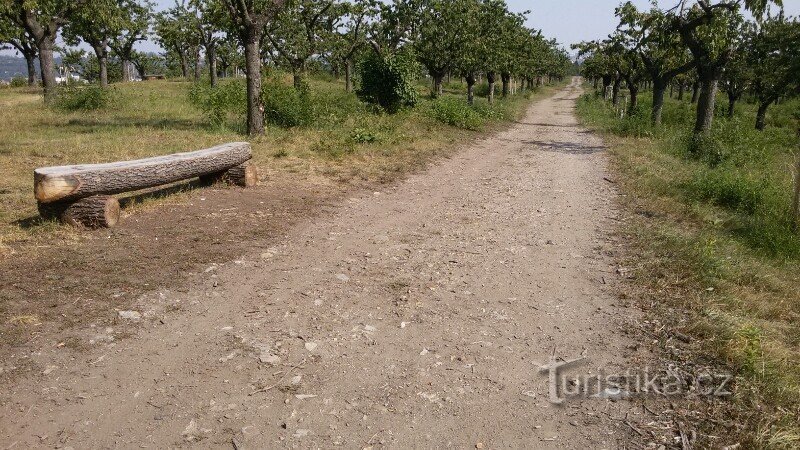 La colline Třešňovka de Prague dans le Hrdlořez de Prague.