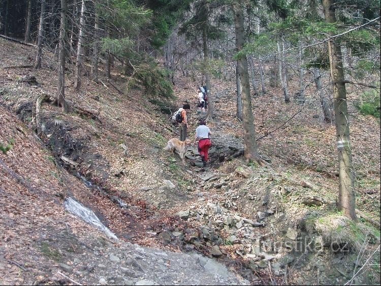 Переїзд ЖТЗ через Столовець під джерелом біля Леопольди