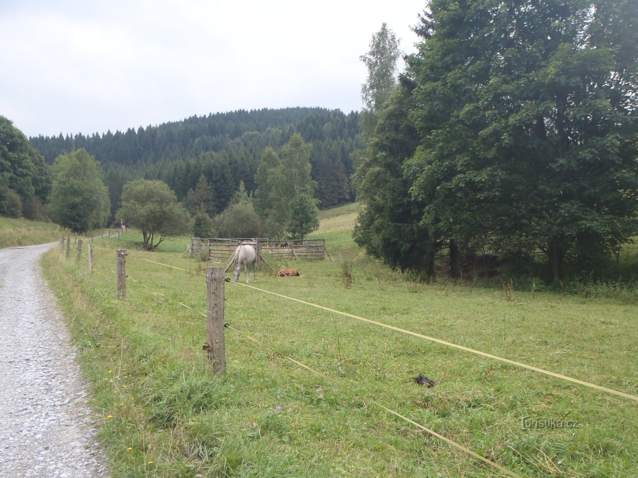 Di fronte a Heřmanovice