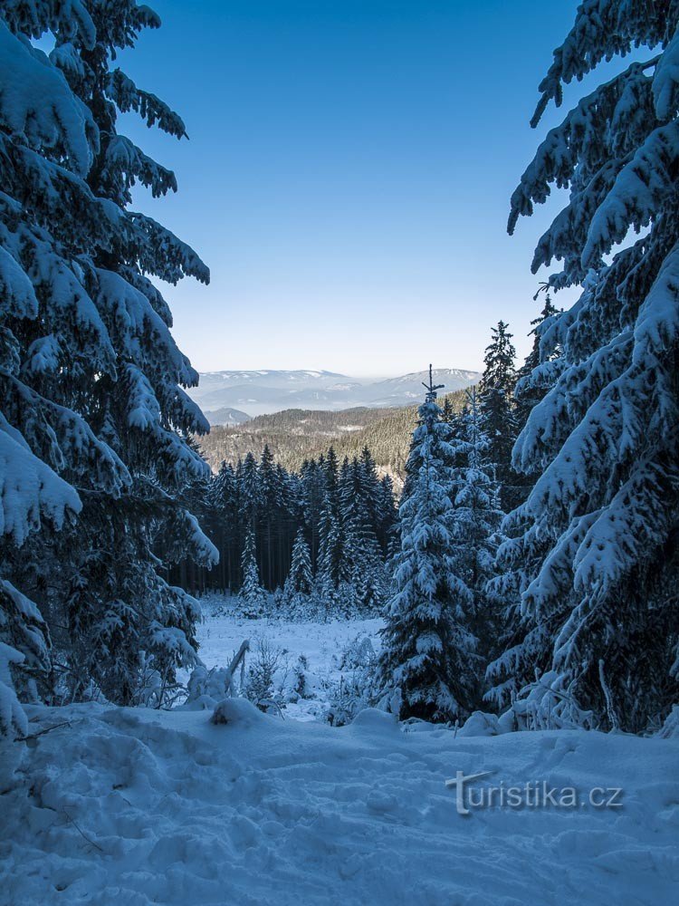 Перед Кртинцем