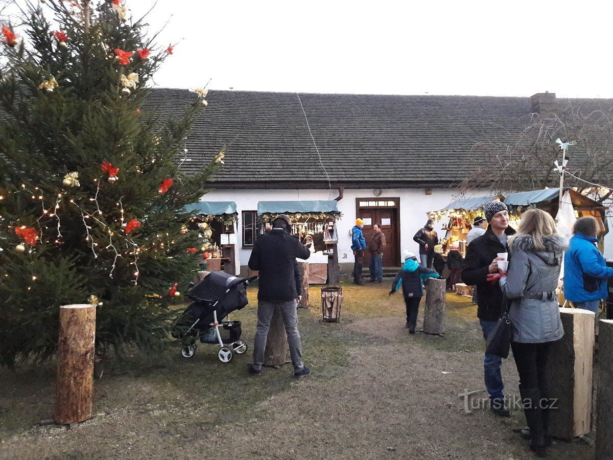 Devant l'Orangerie