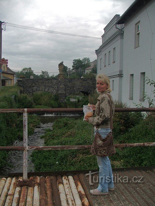 ブディショフの博物館にある記念碑の石橋の前で n. B.
