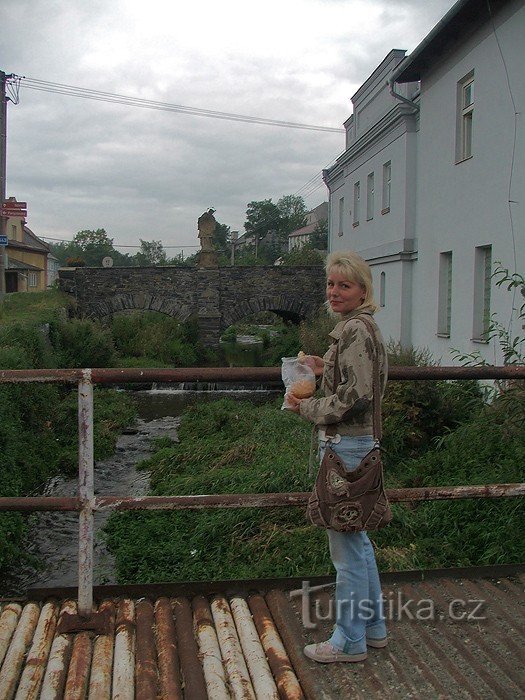 Voor de gedenkstenen brug bij het museum in Budišov n. B.