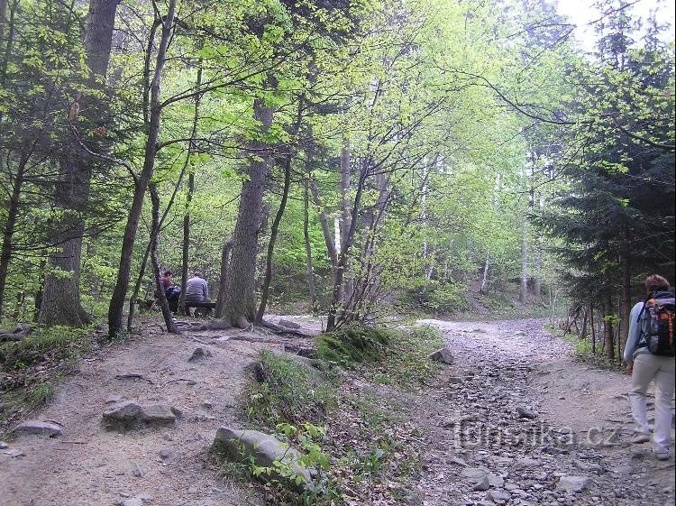 vor der Gabelung: Ausfahrt Bystřice pod Hostýnem.