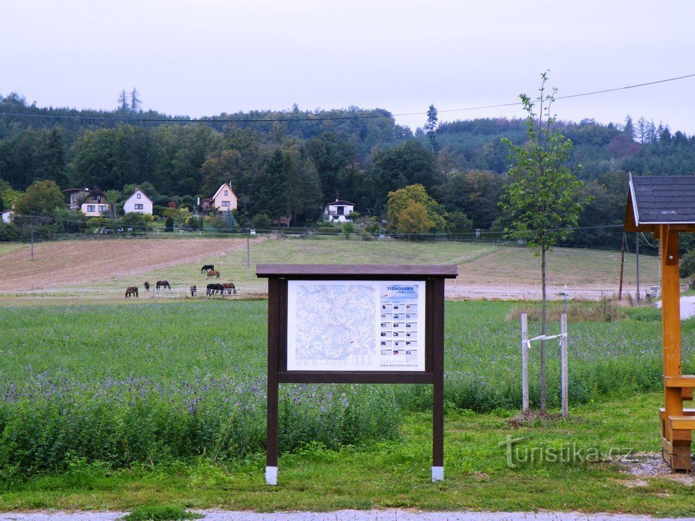 Před Senticemi