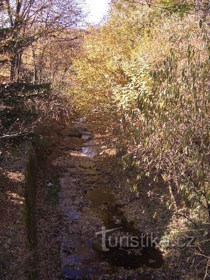 avant la confluence avec Olešna