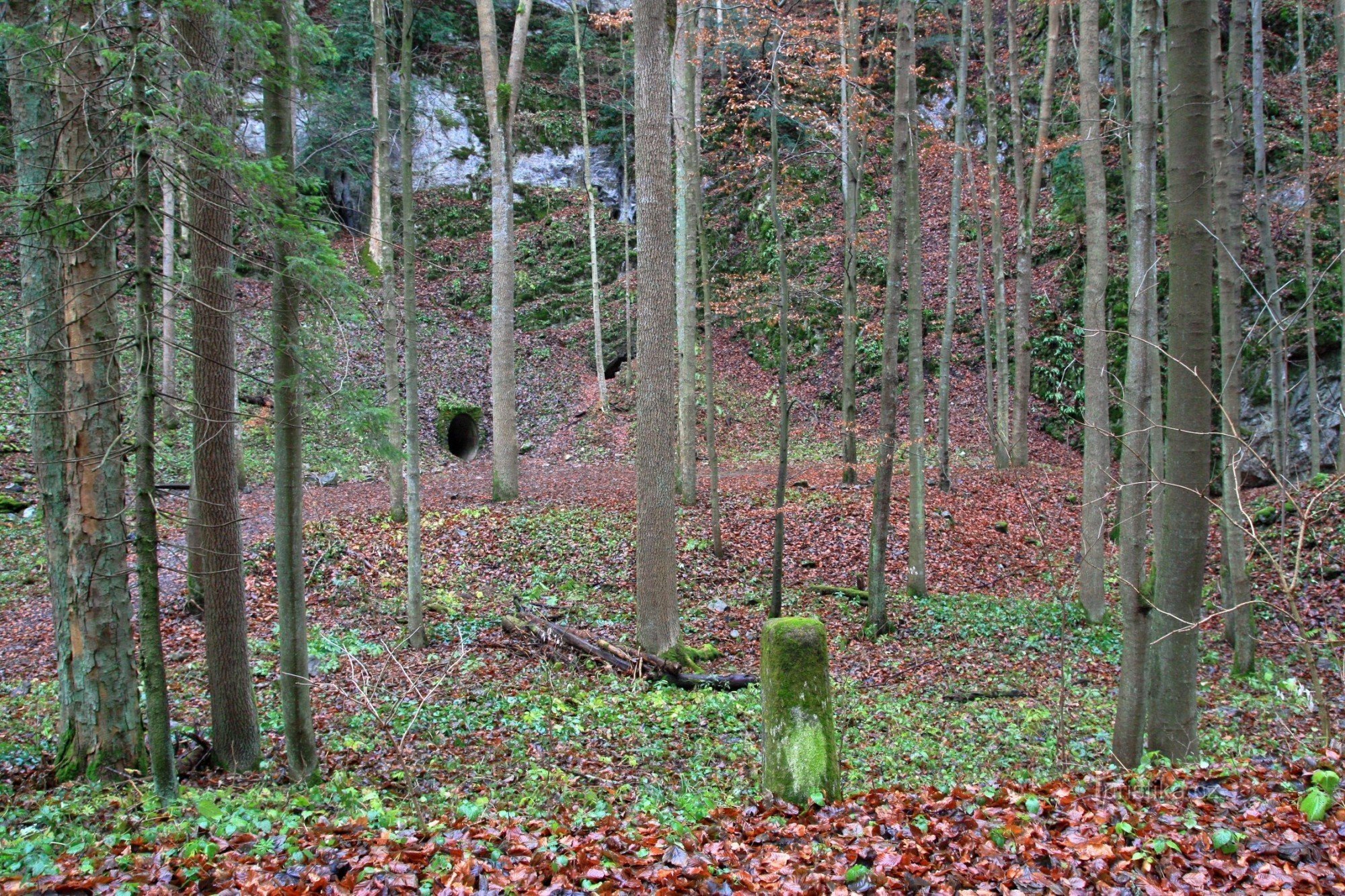 Vor dem Eingang liegt eine Ladung Aushub