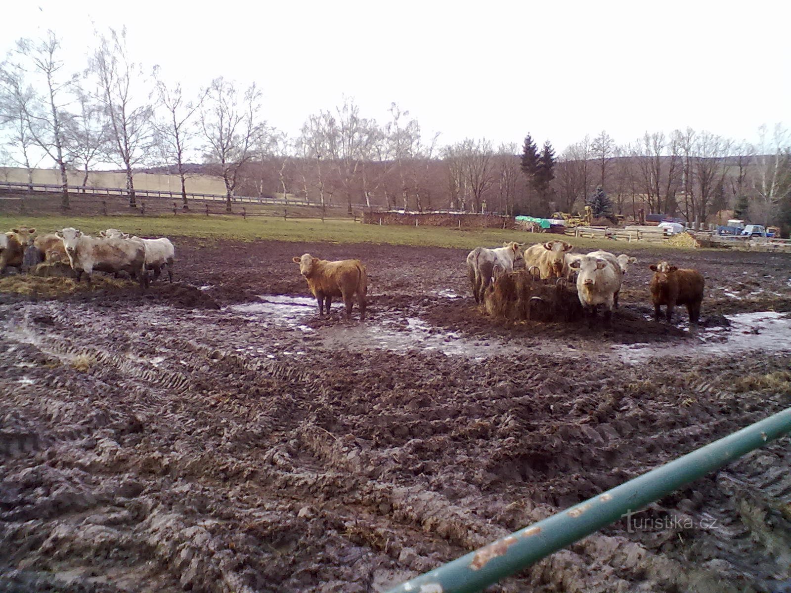 Vorfrühlingsschlamm so weit das Auge reicht.