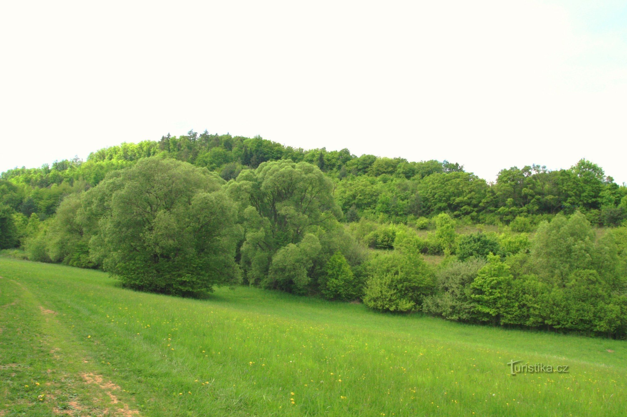 Pre-convent meadows