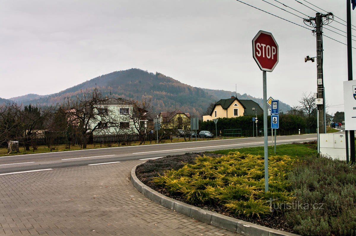 Fronte collina di faggio