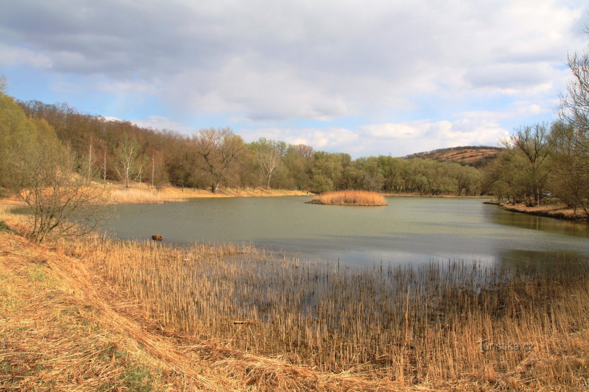 lagoa frontal